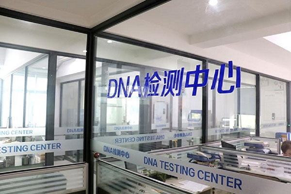广元DNA检测收费咨询服务（专注顾问解答您的DNA检测收费问题） 